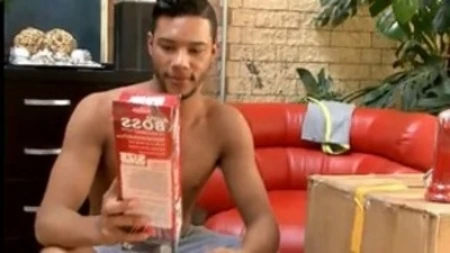 pinkx gay awards: paddy toy box