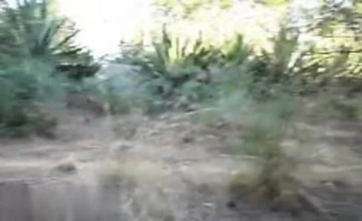 fucked her on cheat - meet - nice outdoor blowjob