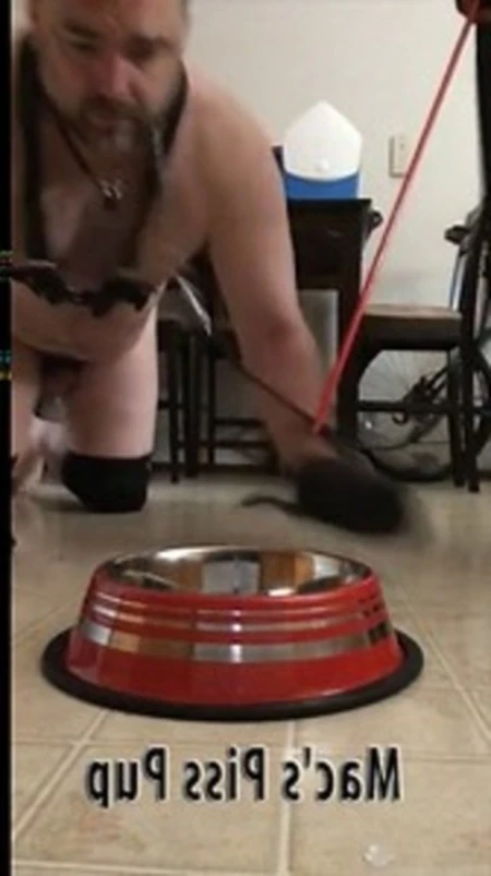 pup parker (treuersohn) made to eat food and swallow master mac's piss. edit: this scene is only possible because of the trust has for me after playing.
