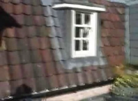 just - married couple fucking furiously after covering each